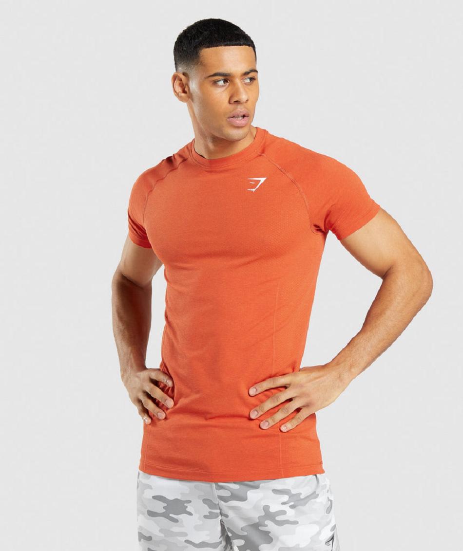 T Shirts Gymshark Vital Light Seamless Hombre Naranjas | CO 3337GSO